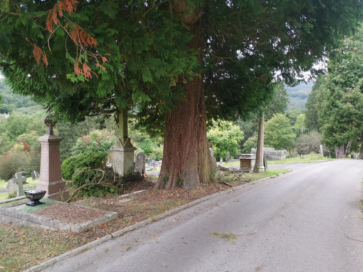 Cwm Taff Unpaid Work tweet media