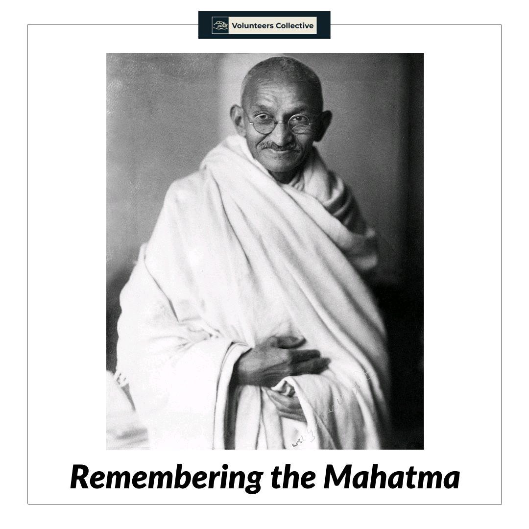 Volunteers Collective tweet media