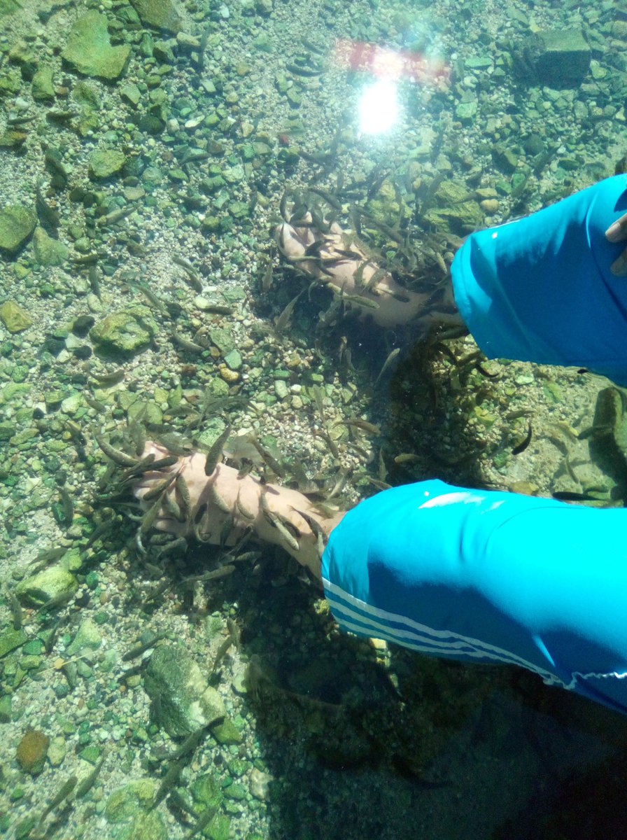 RABBİMİZ ŞAFİİ İSMİNİ DOKTOR BALIKLARLA TECELLİ ETTİRİYOR ELHAMDÜLİLLAH.