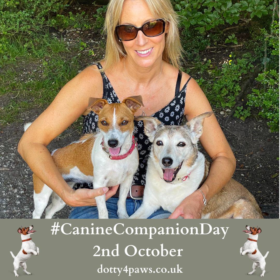 Wow! What a morning! My iPad’s nearly died already from all the tweeting 😂 I’m loving all these photos of your pups! Keep em coming peeps! Let’s see if we can get the #caninecompanionday hashtag trending 🎉🎉
