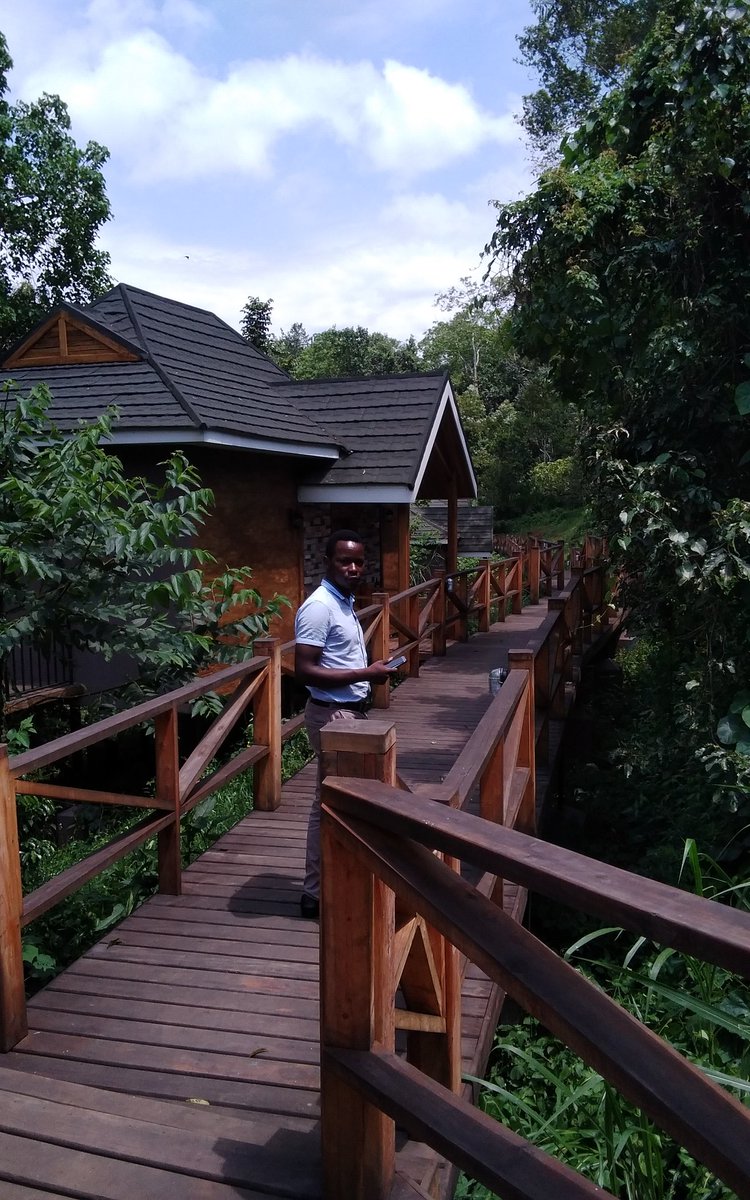 Chimppompo hotel kibaale forests kamwenge