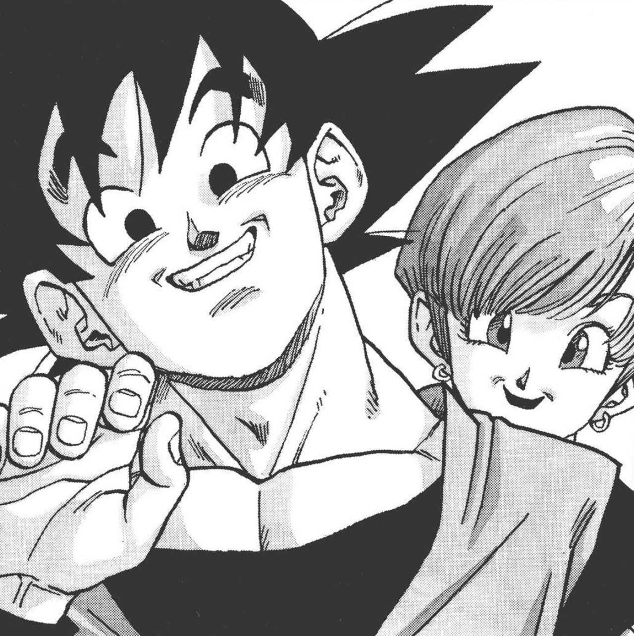 Dragon Ball Panel on Twitter: