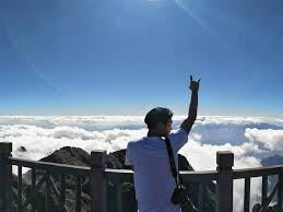 McGrady Cheshire (@cheshiremcgrady) on Twitter photo 