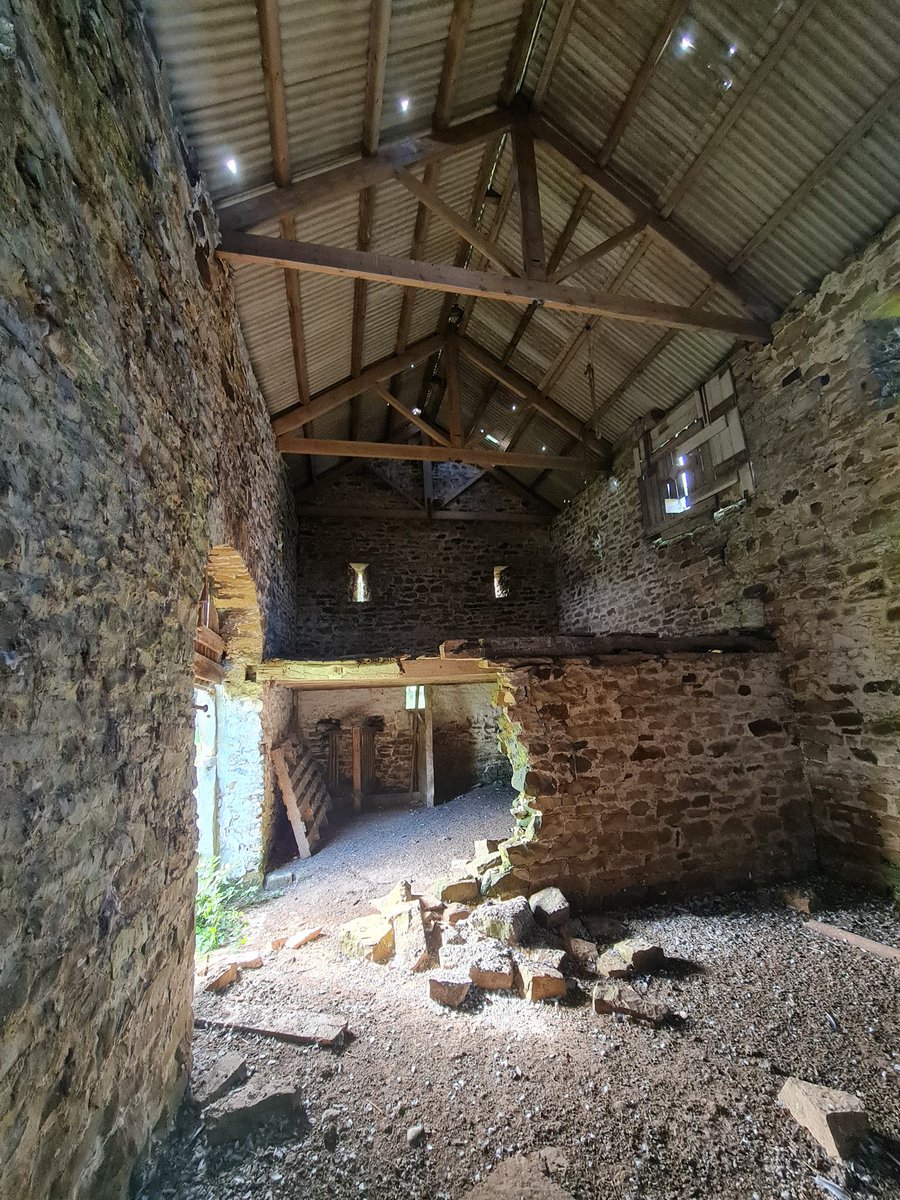 BorealTrees tweet media