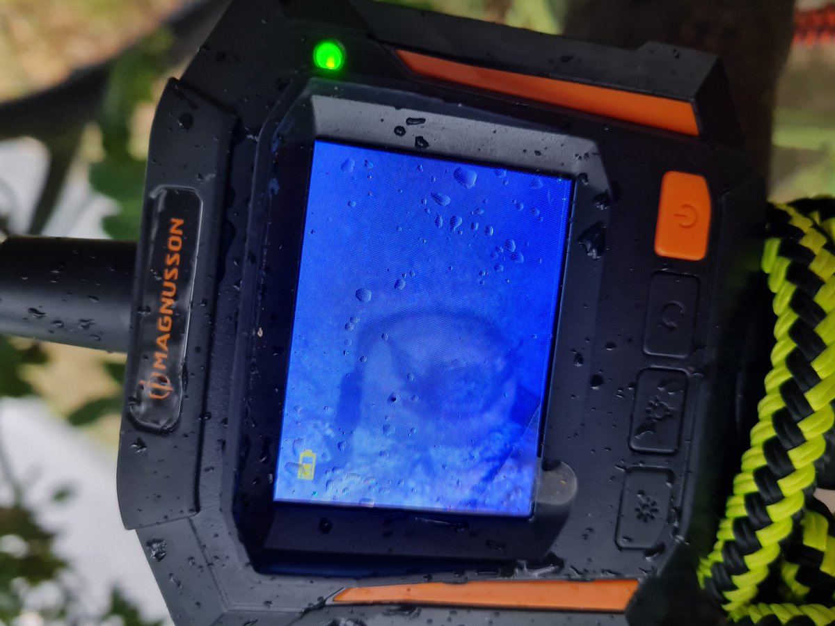 BorealTrees tweet media