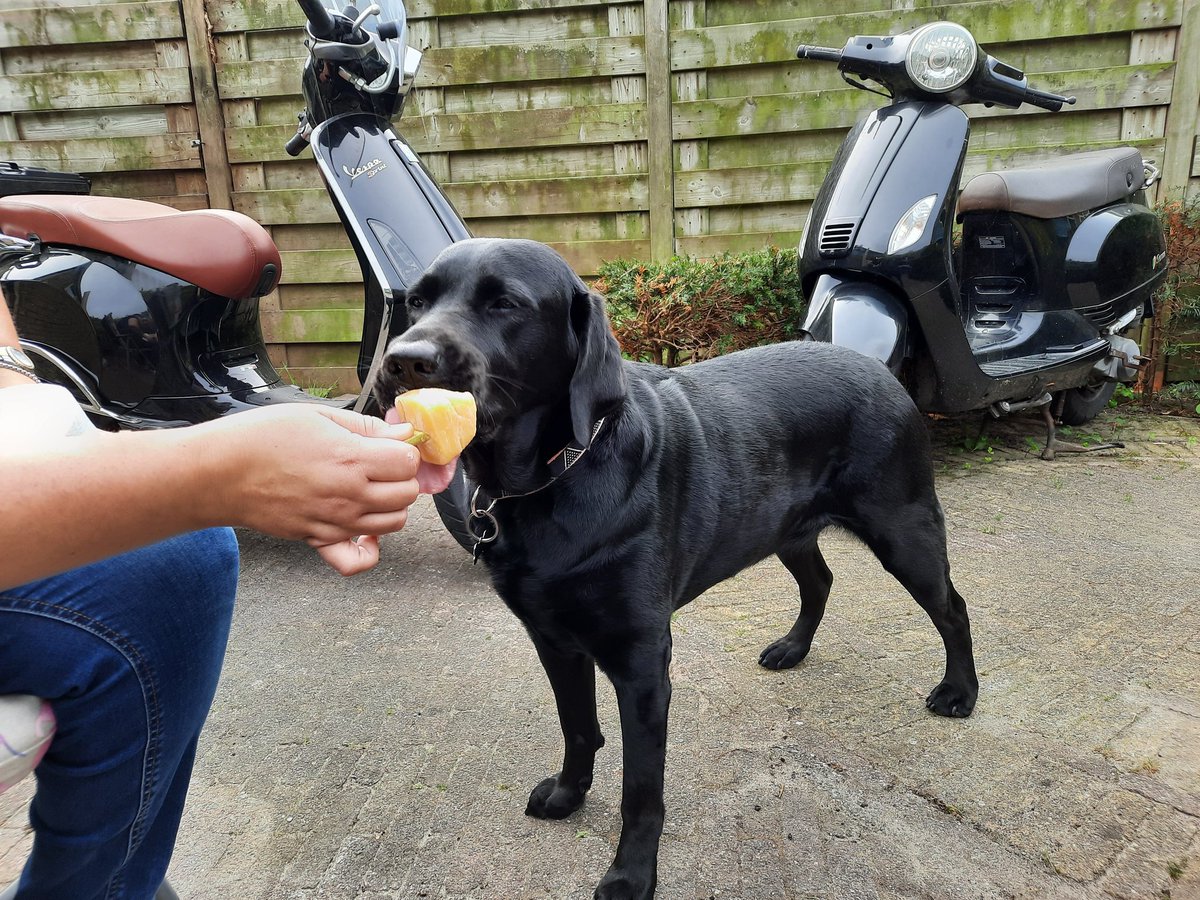 Henri Beukers tweet media