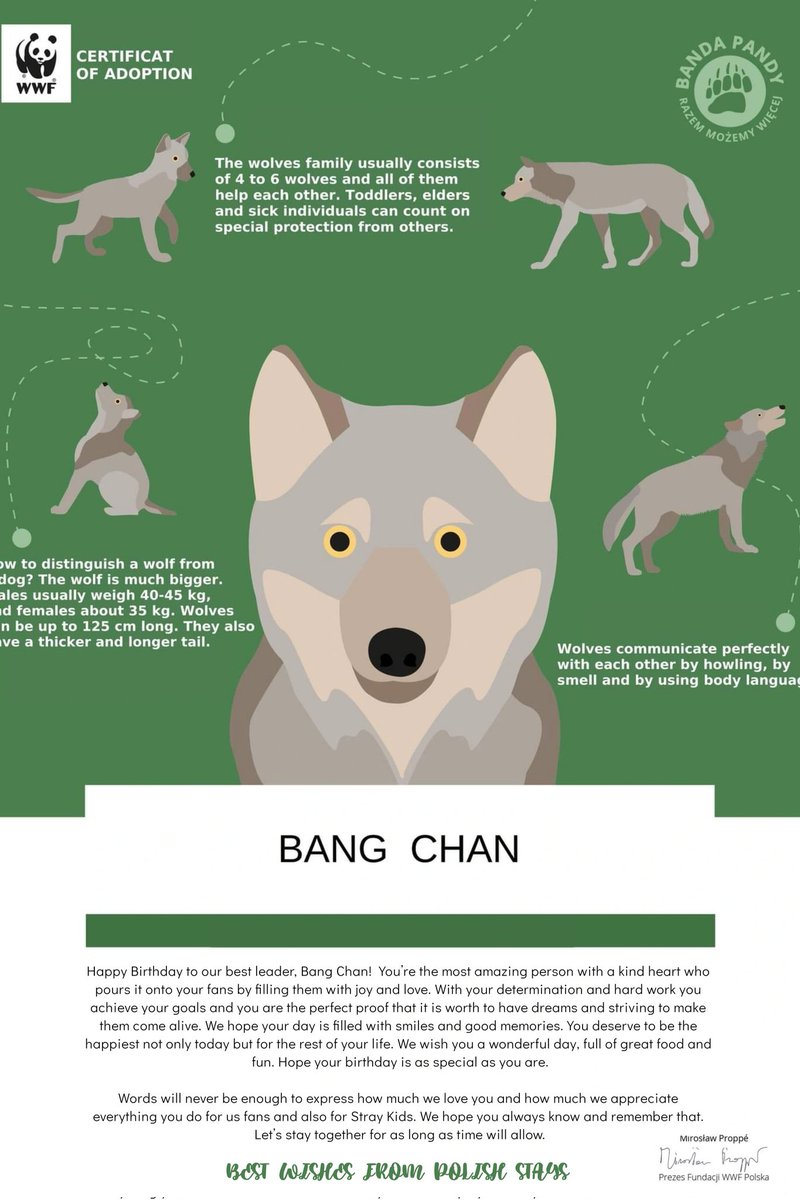 paullettakpop's tweet photo. Dear Chan! STAYS from Poland want to wish you HAPPY BIRTHDAY 🎉 and share our gift for you! We made a donation for Polish wolves 🐺 Hope all of your dreams come true!

#TripleThreatBangChan
#못하는걸_못하는_천리방생일
#HappyBangChanDay

#스트레이키즈 #StrayKids
#Chan @Stray_Kids https://t.co/TYHTB4YWp8