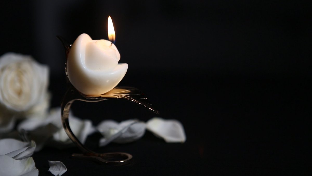 Waxplay https://t.co/82G5EhNwOA