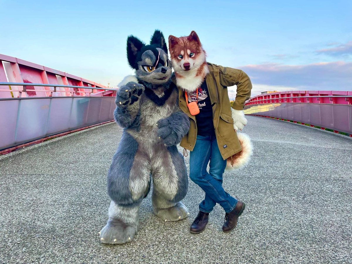 OokamiAku's tweet photo. 5か月ぶりに出かけました！！！
🐶： @LL475722019 
📸： @bfwf29937 https://t.co/X2S9EPkzUu