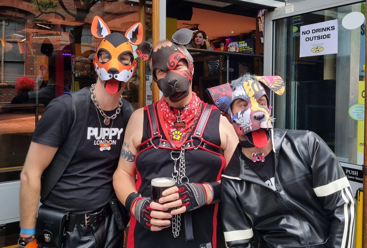 Cute puppers and cute fox at <a href="/KennelKlubUK/">Kennel Klub</a> omgosh