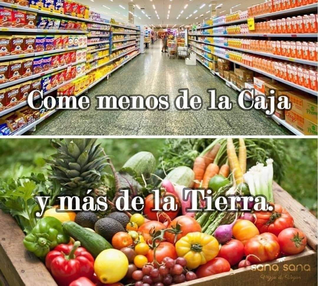 Juan Rivera Dommarco tweet media