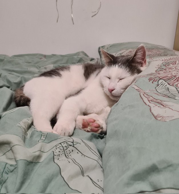 My sweet son 😭 https://t.co/kPmyEnWmXo
