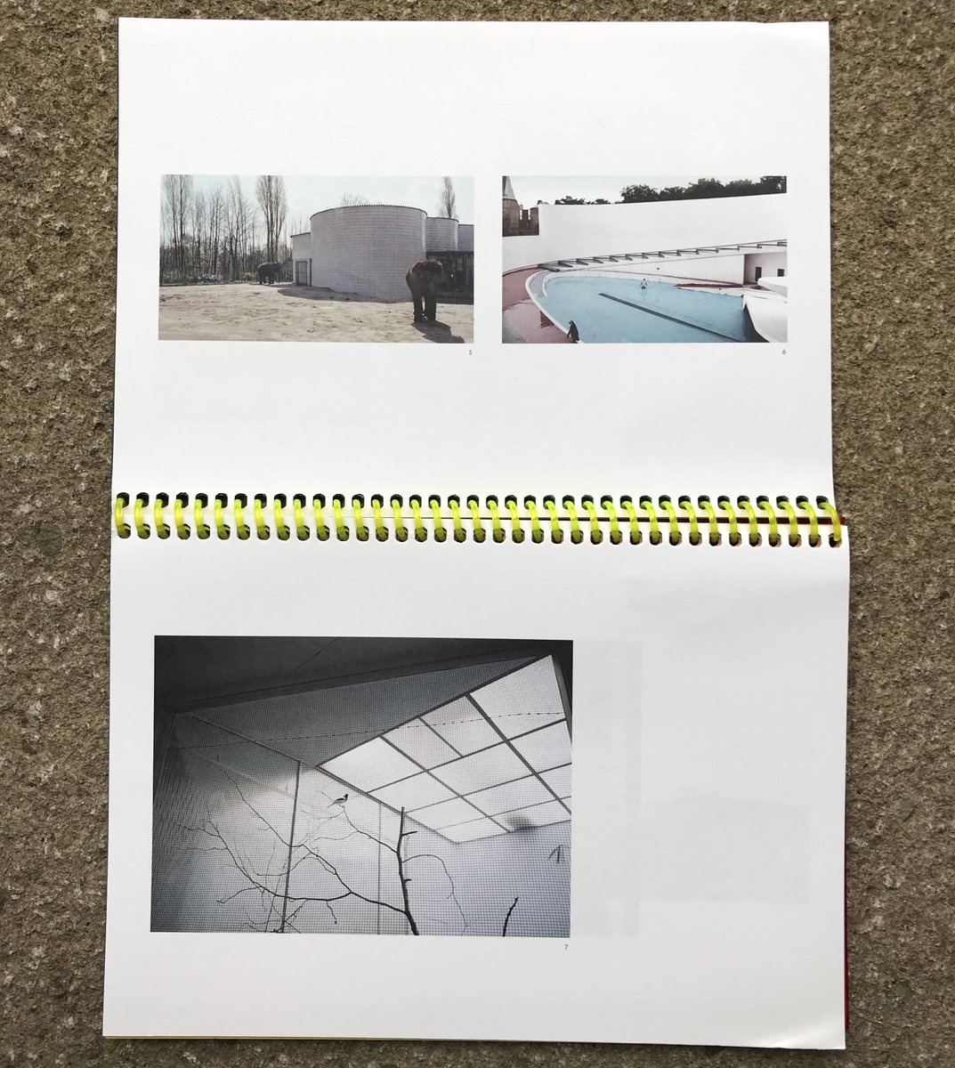 Wesley Meuris, Zoological Classification: Aviary for Tropical Parrots / Aqua Theatre (2005-07) &amp; Candida Höfer, Zoologischer Garten Duisburg II / London III / Philadelphia I (1992/2000). From Eszther Steierhoffer's 2012 publication 'Zoo-Topia' 💥