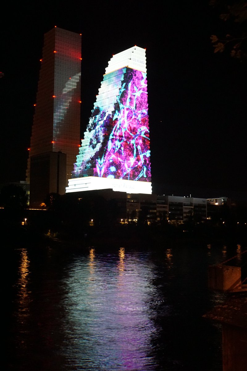 YFarouz's tweet image. This week, as Roche turns 125 🎉, we #CelebrateLife, and I am grateful to Roche to showcase our work on vascular organs-on-chips on #TheBiggestCanvasInSwitzerland. It is the opportunity to not only celebrate human life, but also animal life 😺 and our environment 🌍. #Roche125