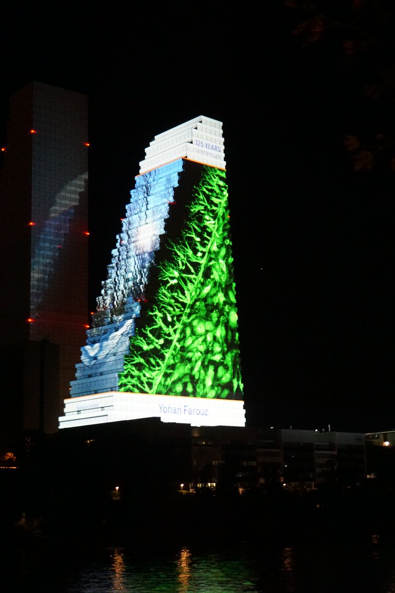 YFarouz's tweet image. This week, as Roche turns 125 🎉, we #CelebrateLife, and I am grateful to Roche to showcase our work on vascular organs-on-chips on #TheBiggestCanvasInSwitzerland. It is the opportunity to not only celebrate human life, but also animal life 😺 and our environment 🌍. #Roche125