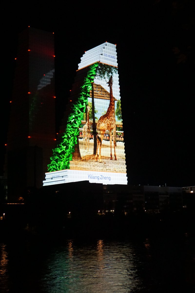 YFarouz's tweet image. Not only does it reduces our environmental footprint, by decreasing the amount of cells needed to run such screens, but it also reduces the need for animal testing. Additionally, it provides a physiological model in cases where animal models are simply not applicable.