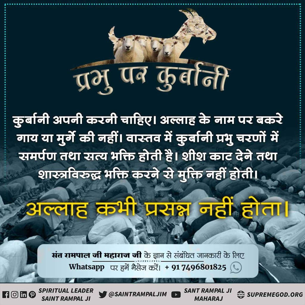 ReenaDa37301977's tweet photo. कबीर परमात्मा ने कहा कि दोनों  धर्म  दया  भाव रखो मेरा वचन  मानो कि सूअर  तथा गाय मे एक ही बोलनहार है  यानी  एक ही जी��  है  न गाय खाओ  न सूअर खाओ दोंनु दीन दया  करो  मानो बचन  हमार गरीबदास ग ऊ सूर मेंएक बोलन हा https://t.co/uAhoTtKddD