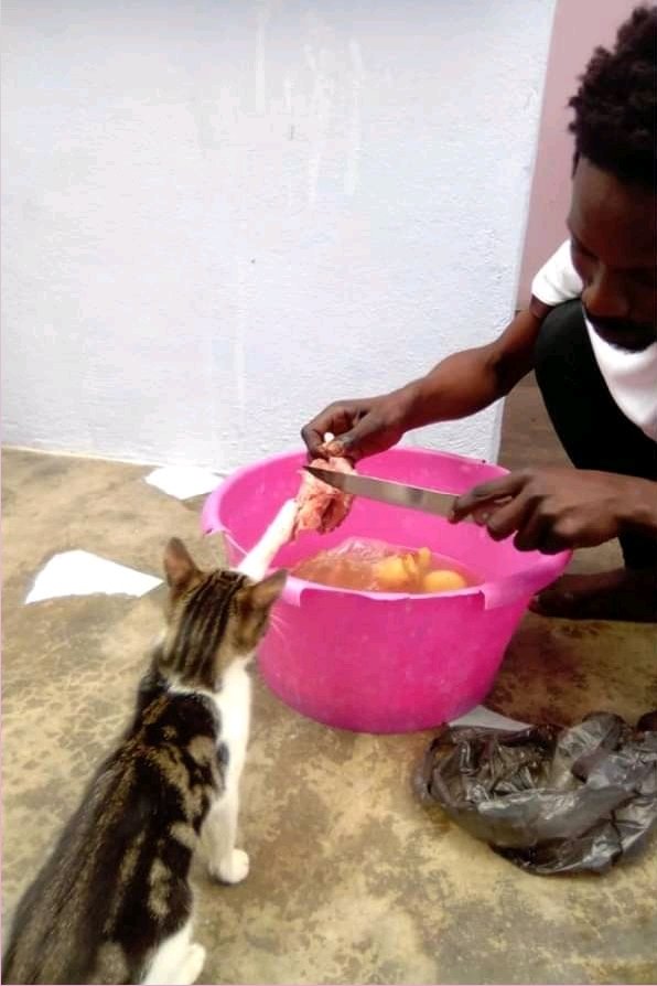 jussajs's tweet photo. Não é só comer, tem que trabalhar também. Vamos lá Tom. https://t.co/fw8s7D6Whq