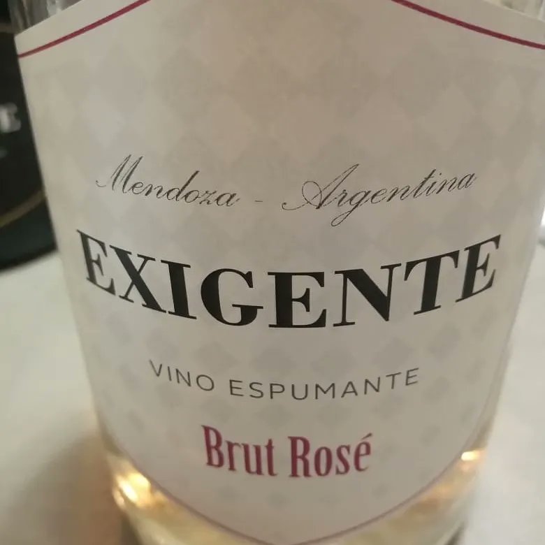 ExigenteW's tweet photo. Sábado de #AOVE y vinos rosados con grandes amigos!

#exigentewine
#vinorosado
#wineandfriends
#winemoments
#vinoyamigos #vinoyaceite #amorporelvino https://t.co/Rp0oQledFl