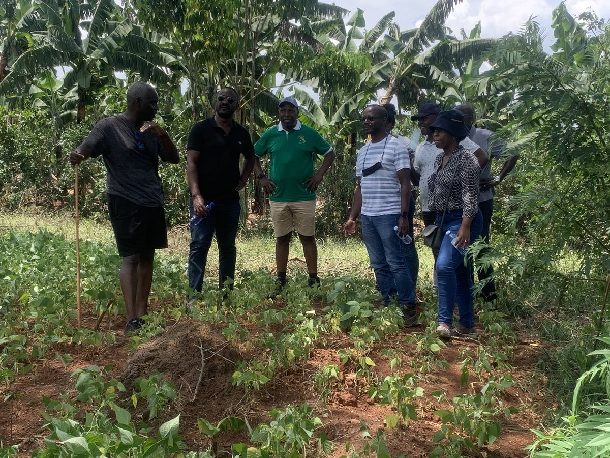 rkabushenga's tweet photo. One of those days when your good old friends drop by for lunch &amp; make your weekend. It was wonderful Saturday at .@RugyeyoFarm. I feel so happy. https://t.co/96XlZ2LrfP