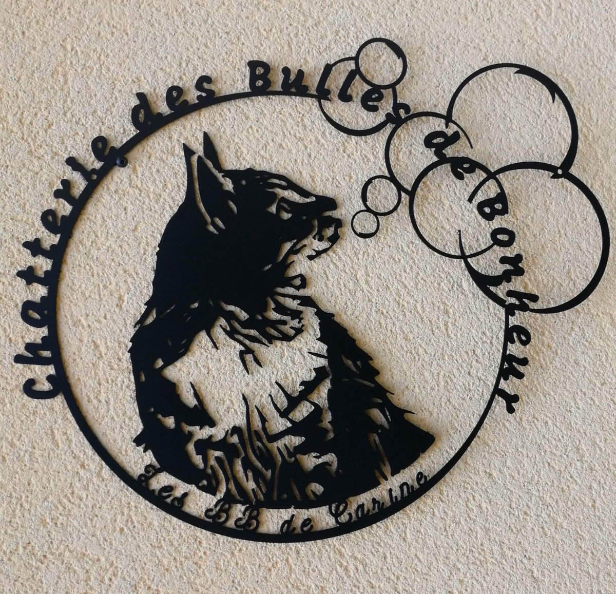 boutique_plaque's tweet photo. Merci Carine pour cette commande.     #chat #chatterie #chats #MAINECOON https://t.co/glWfrHeaV1