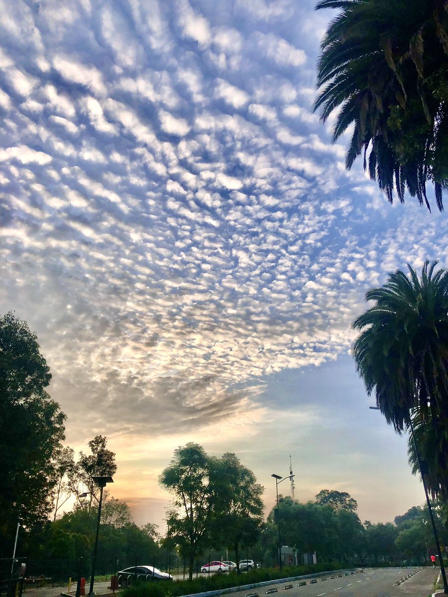 RicardoMch10's tweet photo. Tengan extraordinario Sábado Atlet@s🤗10k correr es vida🏃♂️ #AsicsMexico
#YoElegiCorrer #FalconsRunners #MeEncantaCorrer #TemploRunner #EntreRunners #FenixRun_Puebla #SportsJunkie_MX
#ComuniRunners #RunningWhithLibertad
@ManicomioRunner
#mexrun
#esdecorredores_ https://t.co/2eohCBl2f4