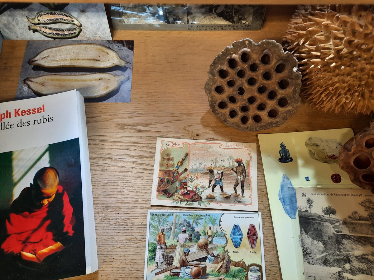 collections_um's tweet photo. Vous faites quoi ce week-end ? On vous attend pour la @FeteScience @FacEducMtp pour découvrir les grands voyages des explorateurs et les collections  de @umontpellier 

#lescollectionsdelum #collectionsuniversitaires #universitycollection https://t.co/xpMyWYXjMb