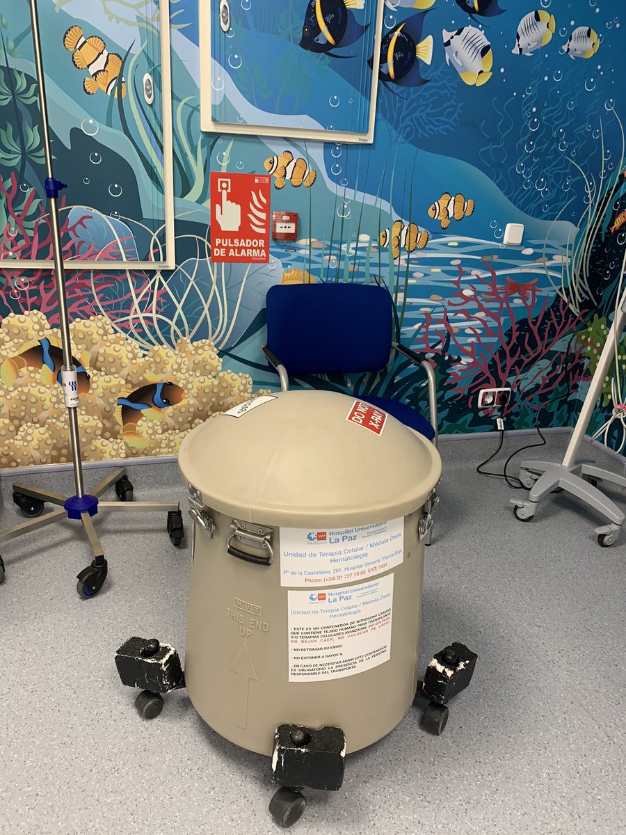 antonioper_mar's tweet photo. From bench to the bedside!! Third party T cell memory containing #SARSCoV2 #CTL @criscancer @L4CLaPaz Release trial phase II is launched in #hospitalZendal thanks all of researchers and colleagues for make this dream true!! @SaludISCIII @ComunidadMadrid #scienceisthecure https://t.co/ehV2GndVca