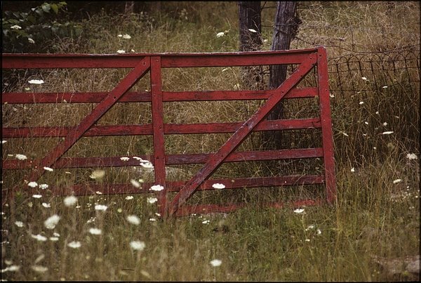 cybrdr's tweet photo. New artwork for sale! - "Red Gate" - https://t.co/teyDyTOokm @shoppixels https://t.co/CLsen5ENOM