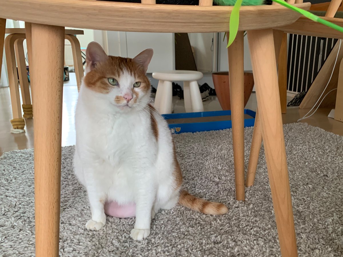 jokjok's tweet image. 이런 사진 좋아해서 족족이가 사진 찍기 싫어하나