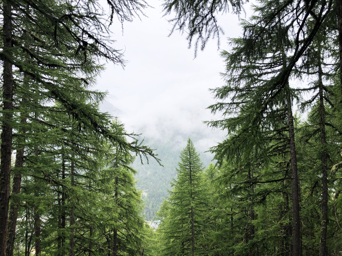 sensespaceflow's tweet image. On October 31st I&apos;m launching a new initiative: Men Emerging. A space for deepening attunement, grounding &amp;amp; fellowship.

Registration is open now.  
jacobkishere.com/menemerging

8 Fortnightly Sessions.
Meditation &amp;amp; Emergent Dialogue.
Good banter.
Meaningful continuity of connection.