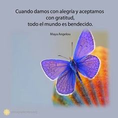 Rosita Chinea tweet media