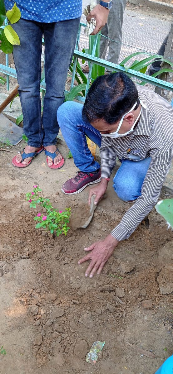 shaileshtiwari's tweet photo. Today at STTC, trainees of Northern Railway and North Central Railway along with  staff , doing tree plantation. This has become regular feature at STTC contributing to green planet movement.  #SwachhBharat #GandhiJayanti @GzbSttc https://t.co/ctzgVJcSdN