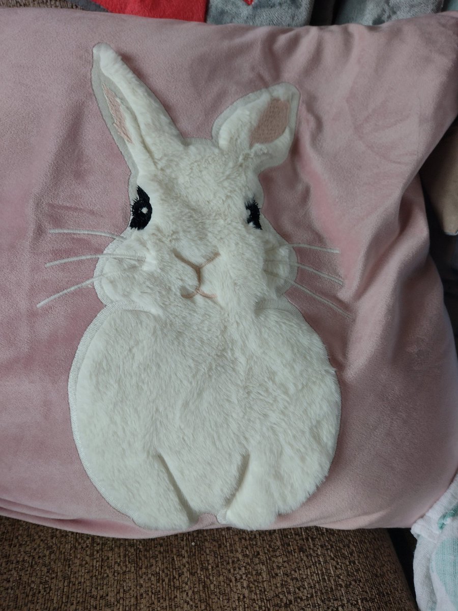 RabbitNeil's tweet photo. The hoomans got this cushion on holiday last week, mum says it is me although it doesn't have blue eyes #neiltherabbit https://t.co/jeD1TXE7vl
