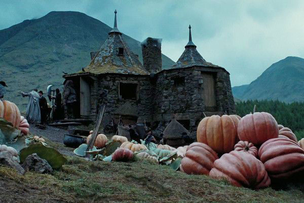 boohoo's tweet photo. It's Harry Potter season 🌩️ https://t.co/6vdOIW0m0c