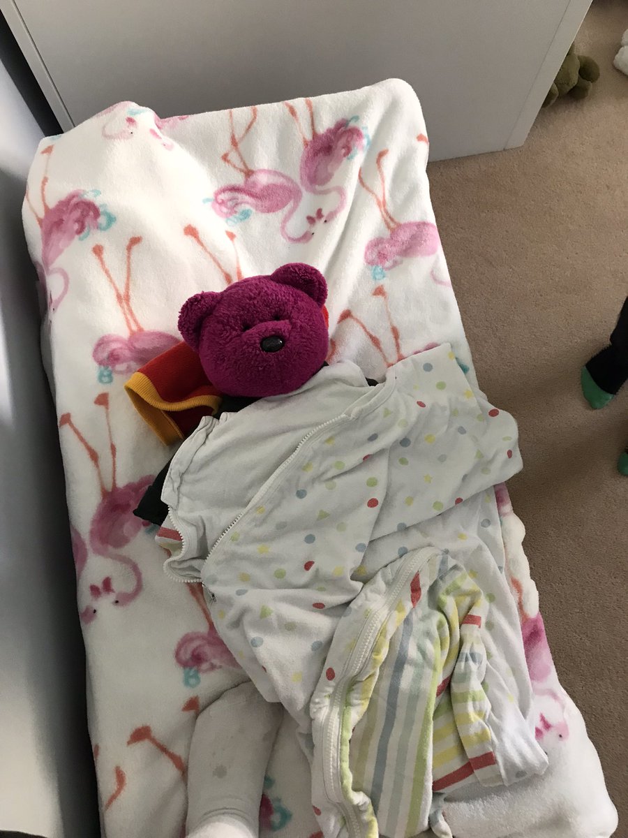 l2pax's tweet photo. Take home Ted settling in well at The Burton house. He’s been up to all sorts already! Train rides, taking a nap, window cleaning, playing with pebbles 😳 (photo cred: Scarlett Burton) @DaneRoydUFS https://t.co/ogjdhkAMto
