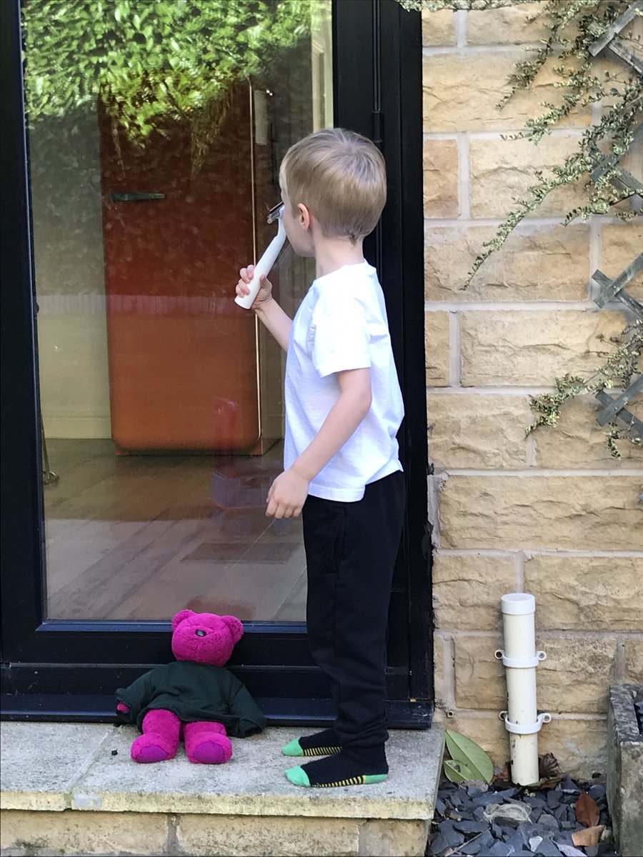 l2pax's tweet photo. Take home Ted settling in well at The Burton house. He’s been up to all sorts already! Train rides, taking a nap, window cleaning, playing with pebbles 😳 (photo cred: Scarlett Burton) @DaneRoydUFS https://t.co/ogjdhkAMto