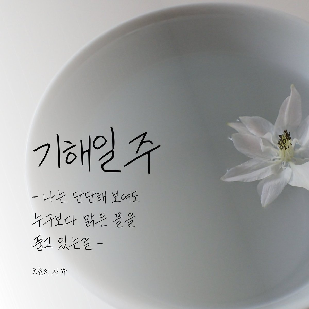 🏳️🌈오늘의 사주 (@only_jaemiroman) / Twitter 🏳️🌈오늘의 사주 (@Only_Jaemiroman) / Twitter