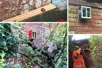 eastdevon's tweet photo. Bug hotel welcomes residents at Exmouth's Manor Gardens
This week officers have put up a bug hotel in Exmouth's Manor Gardens, and EDDC would like to encourage others to do the same!
Find out more https://t.co/KVZXJ7RzY6
#EDDCresidentsupdate #EDDCStreetSceneOps https://t.co/RgRZmcaYCJ