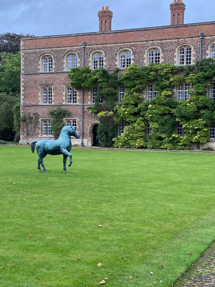 James Kane 🇵🇸 tweet media