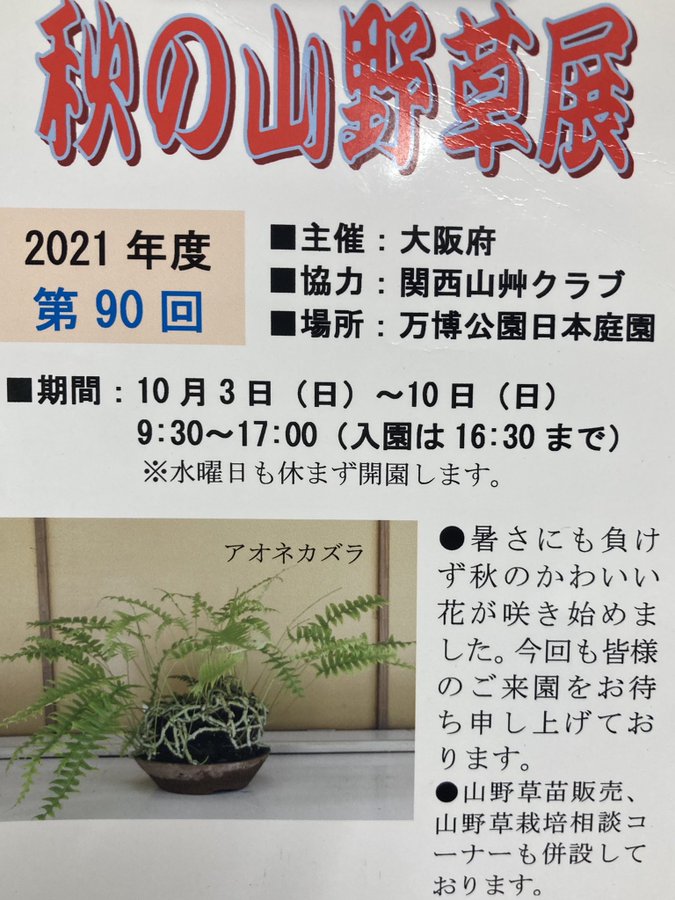 園芸店 箕面市 グリーンバレイ 園芸品 通販 牧落駅 園芸センター
