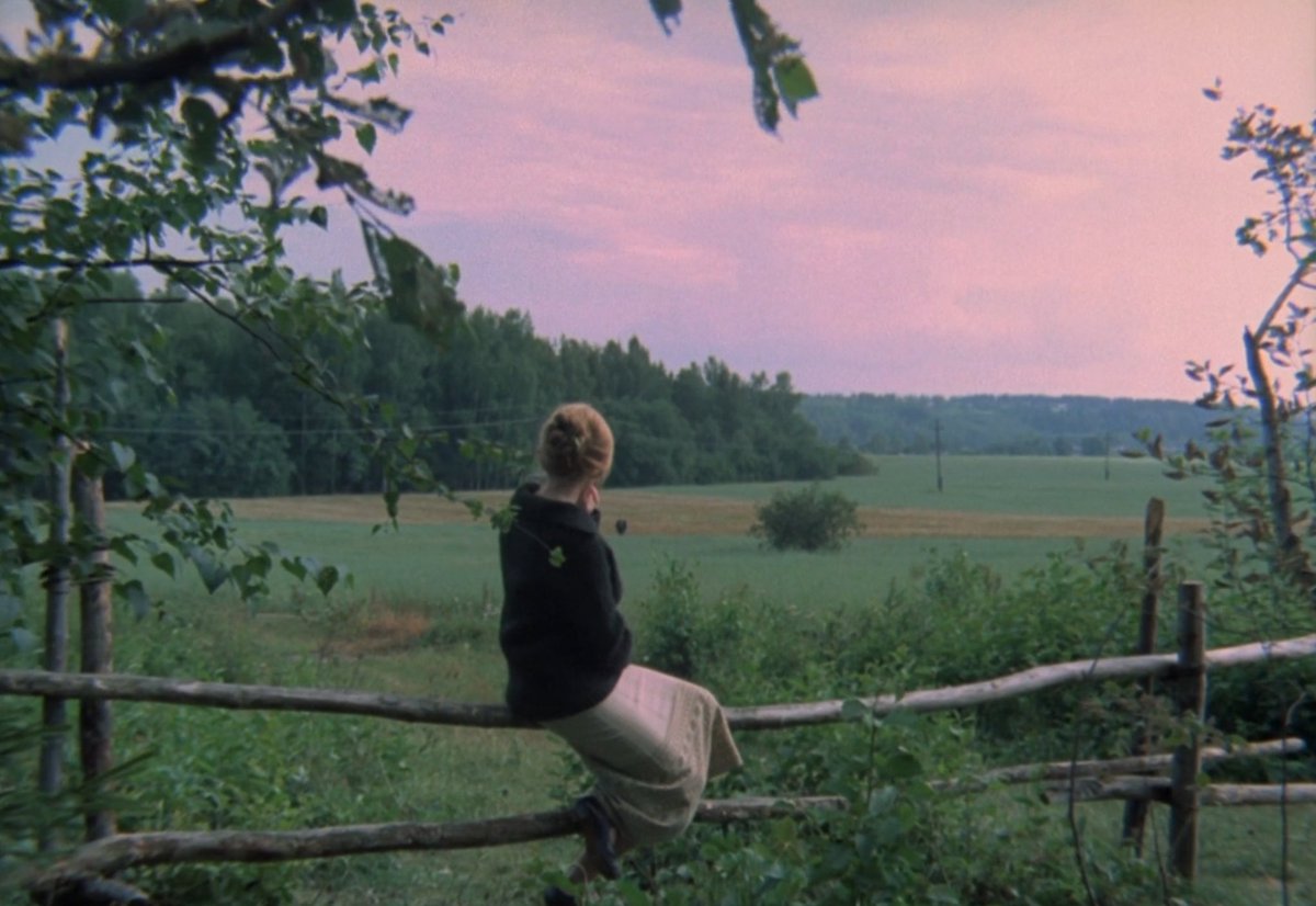 TheCinesthetic's tweet photo. Mirror (1975) dir. Andrei Tarkovsky https://t.co/Zb9RMINqfh