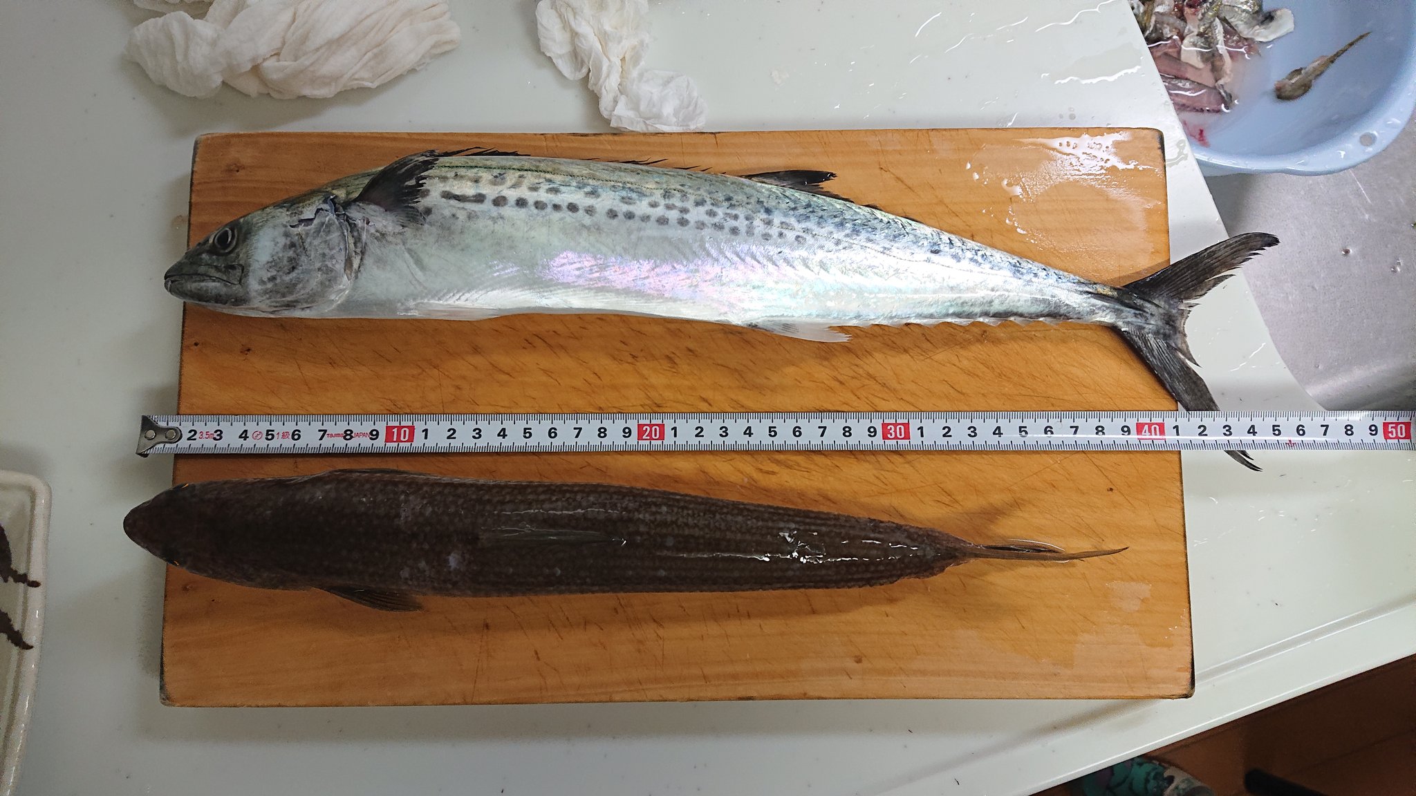 Myhmk Ino Myhmk Ino Twitter