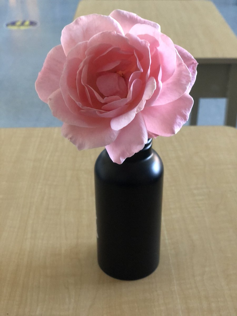 This week, one of my students brought me a flower from his family garden. We had a great week, but this made it so much better! #esps4