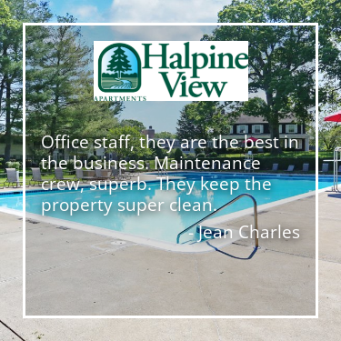 halpineview tweet picture