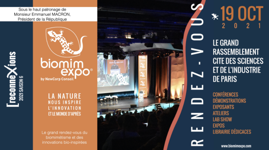 📌C'est bientôt la 6e édition de <a href="/BiomimExpo/">biomim'expo</a> le grand rassemblement du #biomimétisme et des innovations bio-inspirées🐝🌿! 
🗓️19 OCT. <a href="/citedessciences/">Cité des sciences et de l'industrie</a>
Infos et Programme : biomimexpo.com
#SfN #resilience #Nature #biodiversité #biomimétisme #bioinspiration #innovations