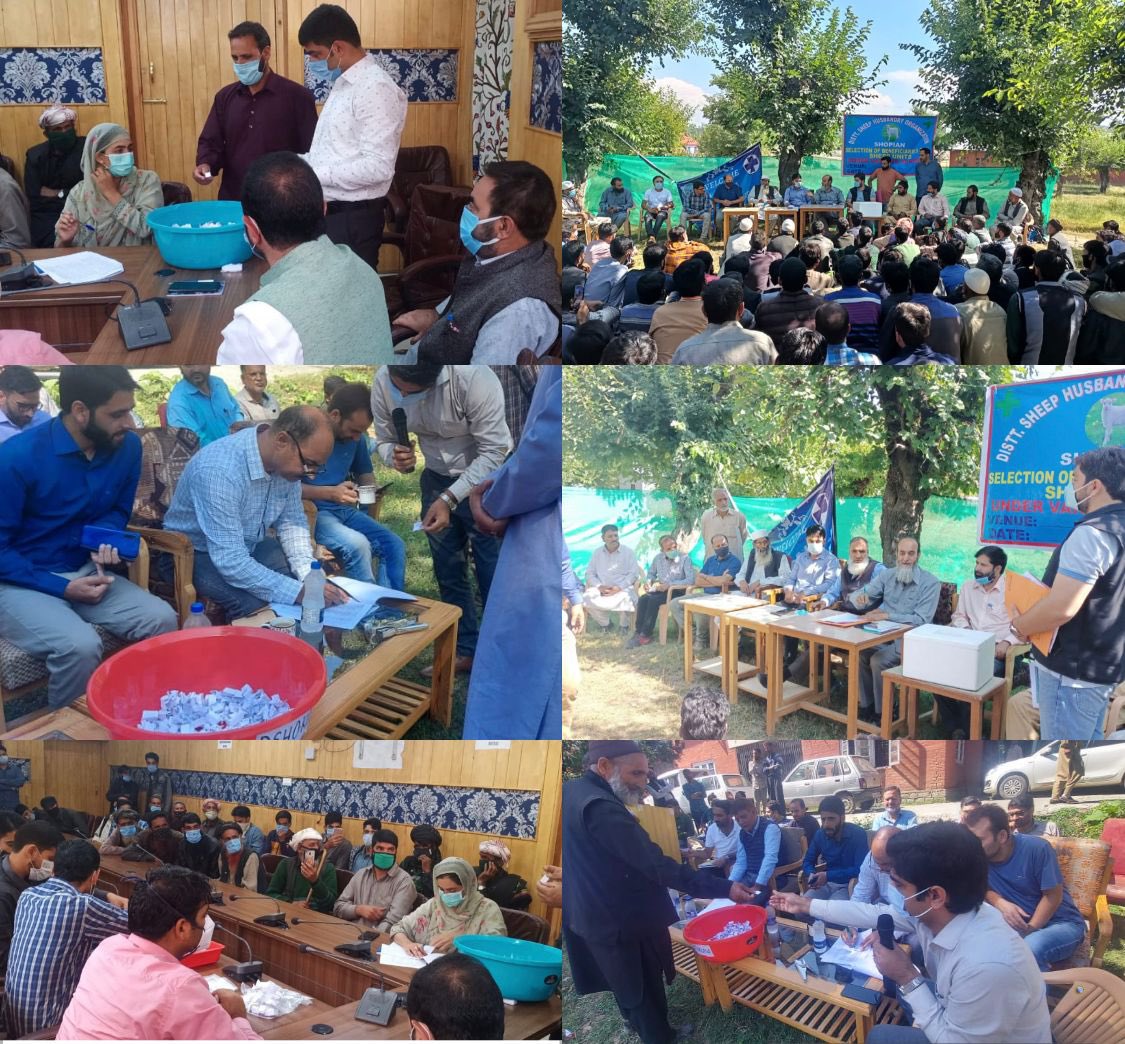 listenshahid's tweet photo. Process underway for gainful employment of 10,000 tribal youth this year: 835 mini Sheep Farms allotted through draw of lots among 5225 applicants in 13 districts. 700 more SF and 500 dairy farms plg. #FarmSchemes https://t.co/GKu9PweSGK