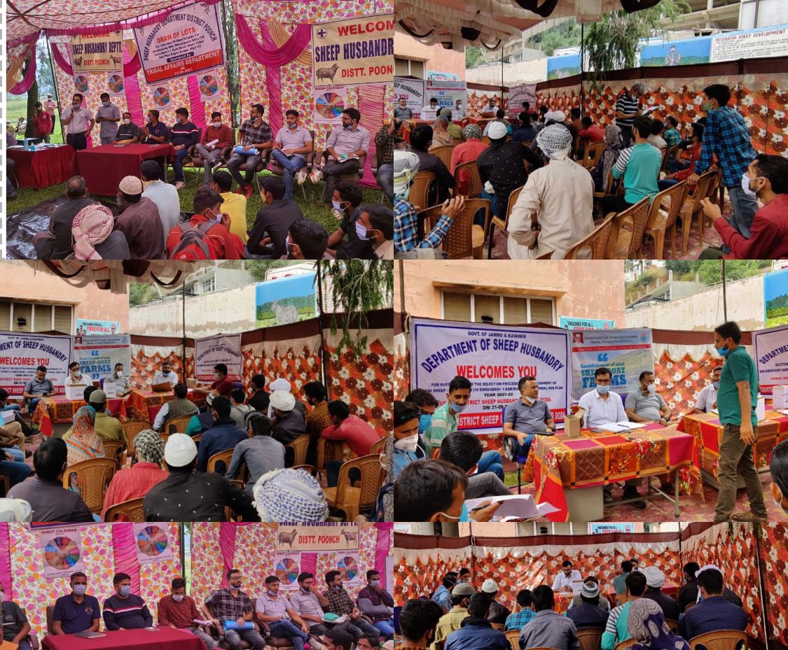listenshahid's tweet photo. Process underway for gainful employment of 10,000 tribal youth this year: 835 mini Sheep Farms allotted through draw of lots among 5225 applicants in 13 districts. 700 more SF and 500 dairy farms plg. #FarmSchemes https://t.co/GKu9PweSGK