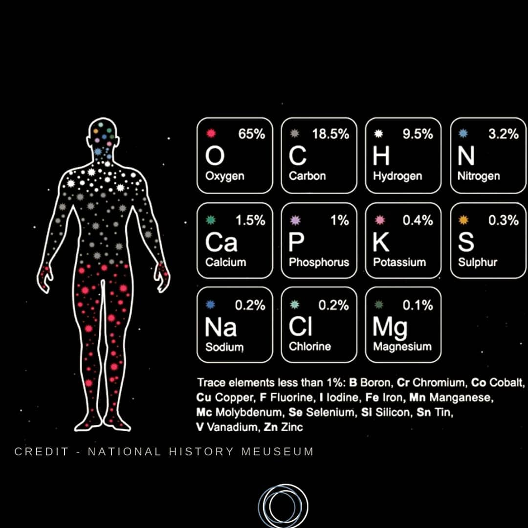 Хүний агуулагддаг элементүүд