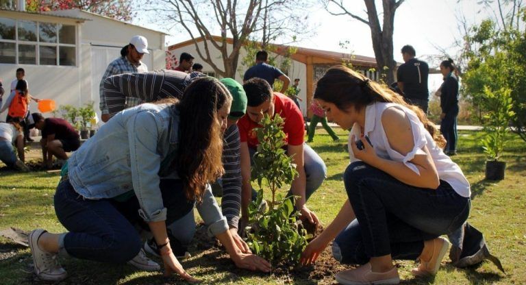 Ecogranjero's tweet photo. México: una universidad pone como requisito plantar un árbol para graduarse https://t.co/19mG9wBuIE https://t.co/HfJGd5UaLL